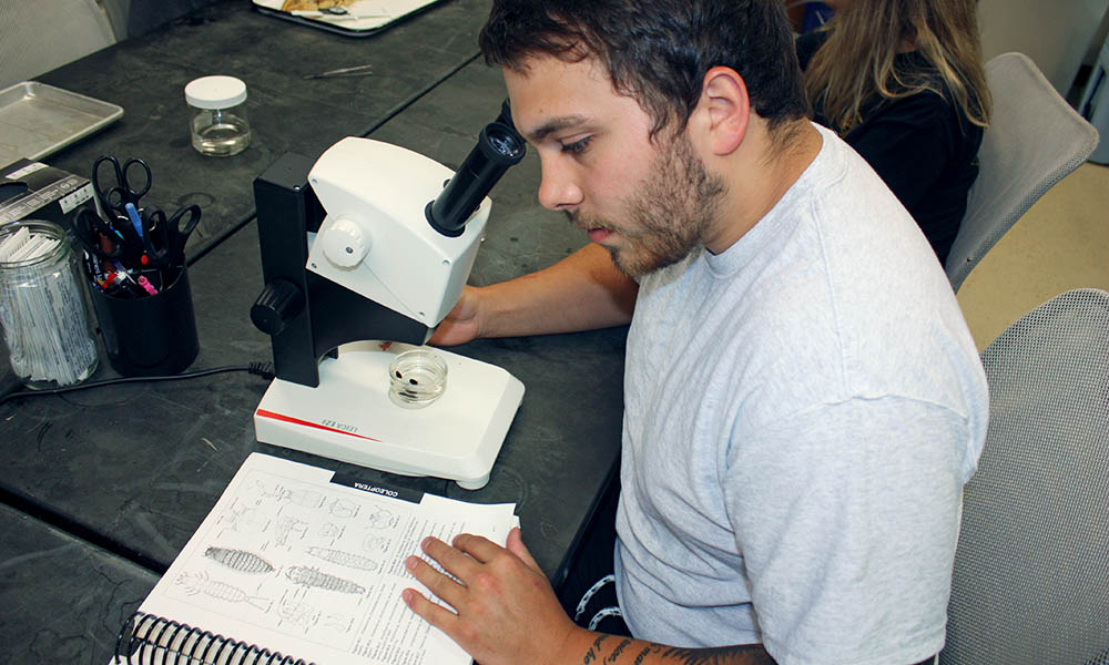 Biology Masters Program Requirements in West Virginia