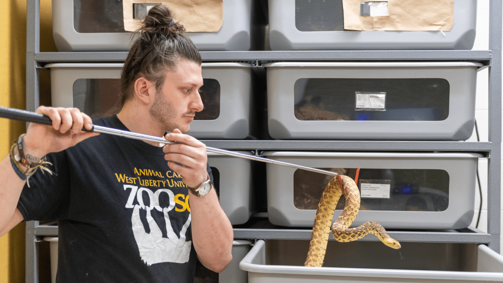Zoo Science snake