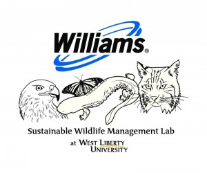 Williams Companies and SWiM Lab